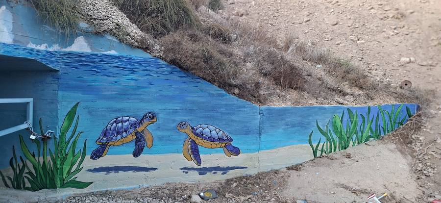 ציור קיר של צבי ים במגדים עבור רשות הטבע והגנים